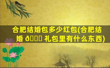 合肥结婚包多少红包(合肥结婚 🐘 礼包里有什么东西)